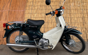 HONDA SUPER CUB50 C50