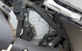 PGO TIGRA 168R
