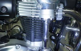 KAWASAKI W800 2021 EJ800B