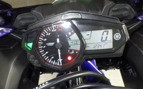 YAMAHA YZF-R25 1996 RG10J