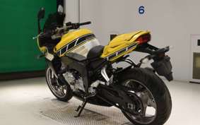 YAMAHA FZ1 FAZER 2009 RN21J