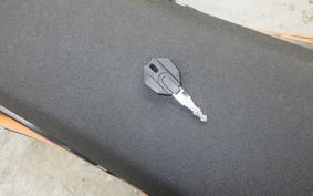 OTHER +UNREGISTERED MODEL by BDS125 2026