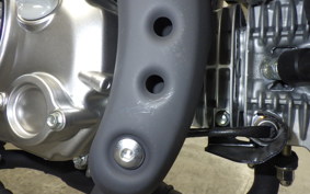 HONDA MONKEY 125 2006 JB03