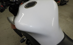 KAWASAKI Z1000 Gen.4 2010