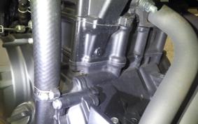 YAMAHA MT-25 A 2009 RG43J