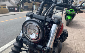 HARLEY FXBB 2019 YJJ