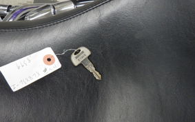OTHER +HD. XL883L-I 2007