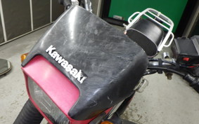 KAWASAKI SUPER SHERPA KL250G