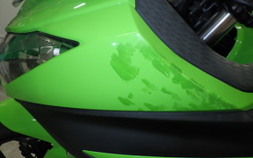 KAWASAKI NINJA 250 EX250L