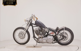 OTHER UNREGISTERED MODEL by BDS1330 2022