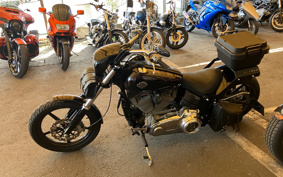 HARLEY FXCW 2008 JJ5