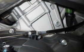 APRILIA RSV4 1100ファクト 2021