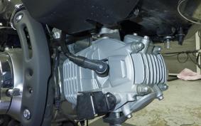 HONDA MONKEY 125 ABS 2021 JB02