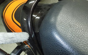 KAWASAKI ZEPHYR 750 2025 ZR750C