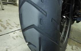 BMW R1300GS 2024