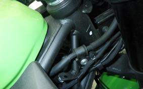 KAWASAKI ZX-4RR 2023 ZX400P