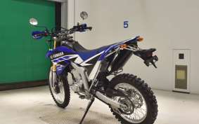 YAMAHA WR250R 2019 DG15J