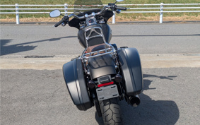 HARLEY  HARLEY FLSB SPORT GURAIDO 2020 YMJ