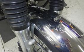 KAWASAKI W800 2023 EJ800E