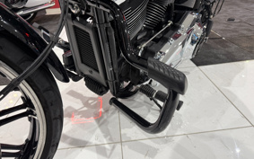 HARLEY  HARLEY FXBRS 2020 YHK