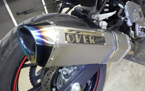 SUZUKI GSX250RA 2007