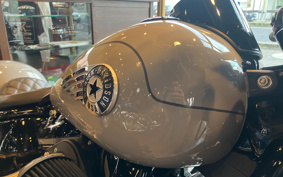HARLEY FLFB 2025 YF9