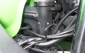 KAWASAKI NINJA 250 ABS EX250L