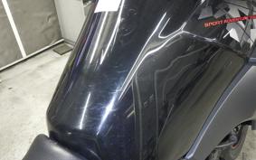 SUZUKI Vｽﾄﾛｰﾑ250A 2020