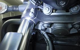 KAWASAKI VULCAN 650 SA 2024 EN650M