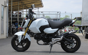 HONDA GROM JC92