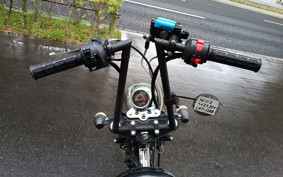 YAMAHA HE IST250 PCAN
