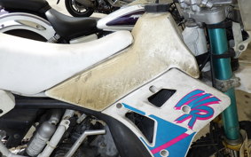 YAMAHA YZ250WR