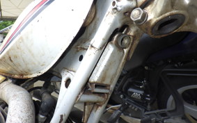 YAMAHA 	TY175 525
