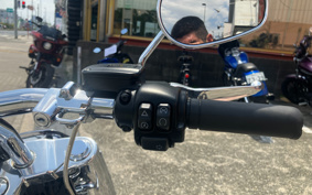 HARLEY FLFBS 2021 YGK