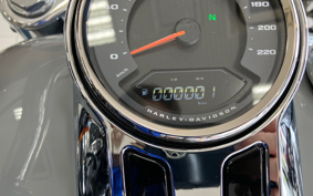 HARLEY  HARLEY FLFBS 2025 YGK