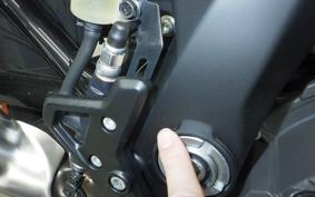 INDIAN FTR1200 2025