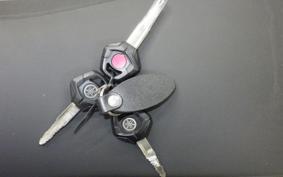 YAMAHA TENERE 700 2025 DM17J