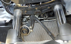 SUZUKI GSX250RA