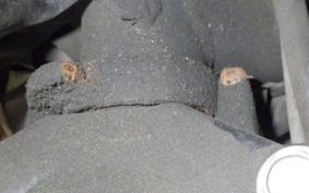 HONDA C50 SUPER CUB AA04