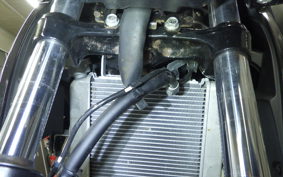 SUZUKI GSX-S125 2007 DL32D