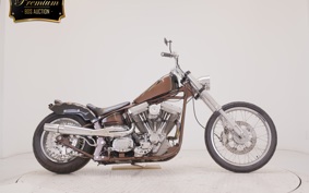 OTHER UNREGISTERED MODEL by BDS1570 1998
