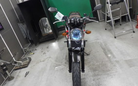 HONDA VTR 250 Gen. 2 MC33