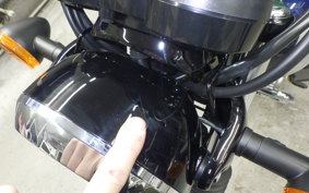 KAWASAKI W230