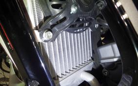 HONDA CRF250 RALLY 2010 MD44