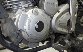 YAMAHA TRICKER DG10J