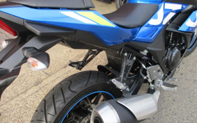 SUZUKI GSX250R DN11A