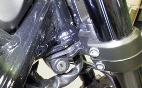 HONDA REBEL 1100 DCT 2024