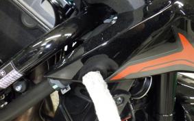 KAWASAKI ZH2 2024 ZRT00R