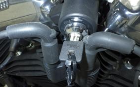 HARLEY XL1200X 2020