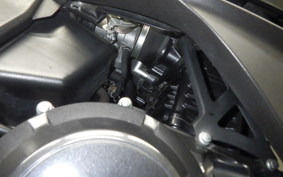 SUZUKI GSX250R 2010